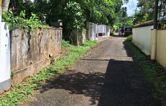 Plot for sale in Angamaly