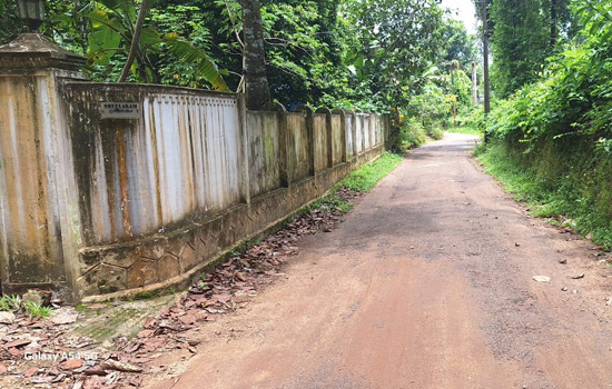 Plot for sale in Nayathode, Angamaly, 24 cents
