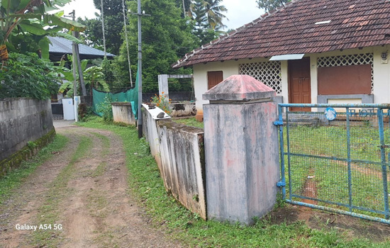plot for sale Angamaly