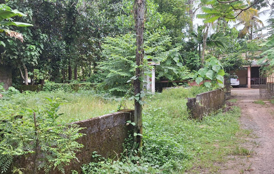 Plot for sale Angamaly  town