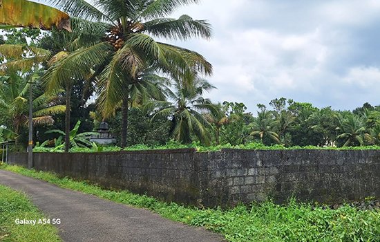 Land for sale Angamaly