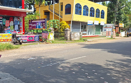 plot for sale in nedumbassery