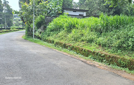 Plot for sale in Angamaly