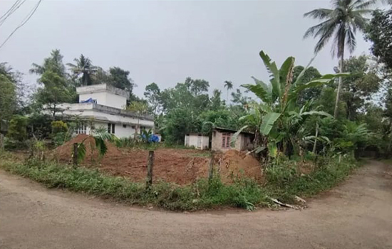plot for sale in Manakkapady, Nedumbassery