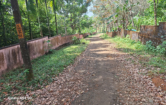 Plot for sale in Puliyanam, Angamaly