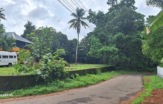 Plot for sale in Angamaly, Njalookkara