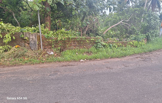 Plot for sale in Nedumbassery