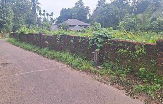 Plot for sale in Nedumbassery