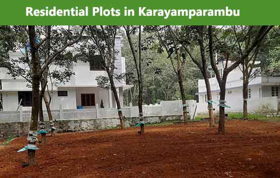 Land for sale in karayamparambu angamaly