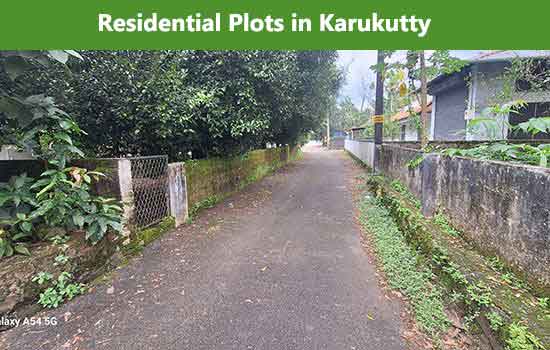 plot for sale in karukutty