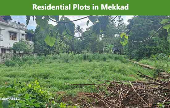 Plots for sale in mekkad, angamaly