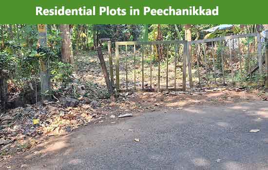 plots for sale in peechanikkad