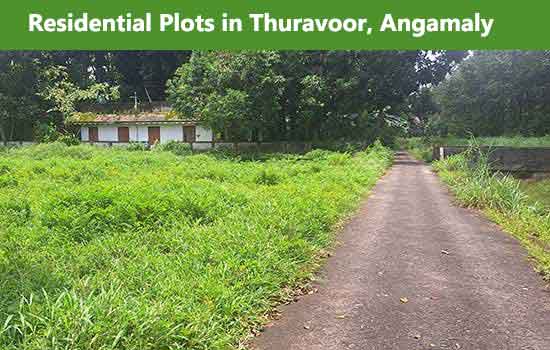 land for sale in Thuravoor, angamaly