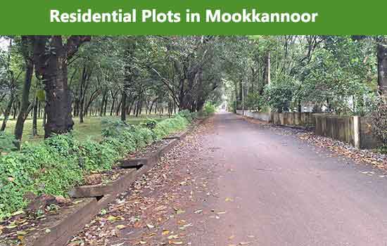 Residential plots for sale in Mookkannoor