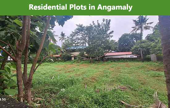 Land for sale in Angamaly