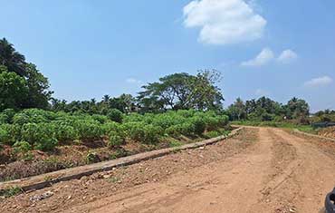 land for sale in nedumbassery