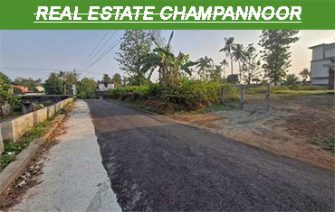 real estate in champannoor angamaly
