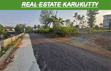 real estate in kidangoor angamaly