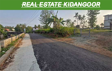 real estate in kidangoor angamaly