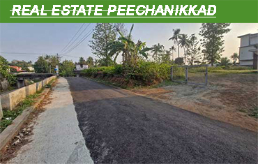 real estate in peechanikadu angamaly