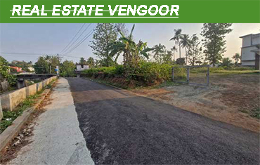 real estate in vengoor angamaly