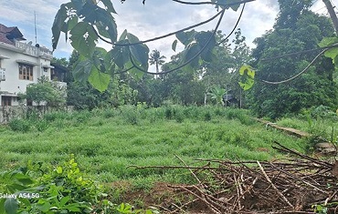 Real Estate Properties in Angamaly, Mekkad