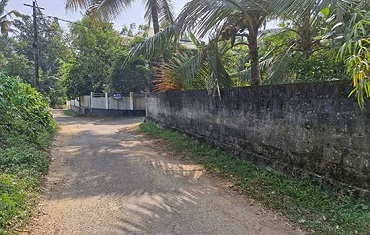Real Estate Angamaly, Peechanikadu