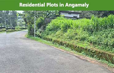 House for sale in Angamaly