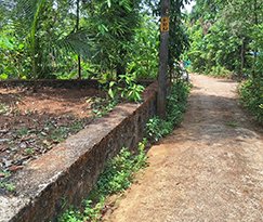 Residential Land for sale in Vattaparambu, Angamaly