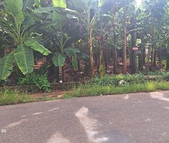 Residential Land for sale in Kodussery, Angamaly