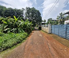 Residential Land for sale in Mekkad, Angamaly