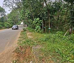 Residential Land for sale in Mookkannoor, Angamaly