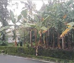 Residential Land for sale in Aikkattukadavu, Angamaly