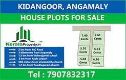 Plots for sale in Kidangoor