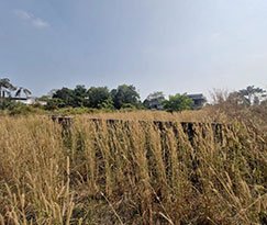 Residential Plot for sale in Nedumbassery