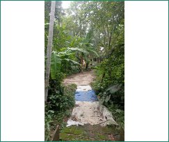 Residential Land for sale  in Ernakulam