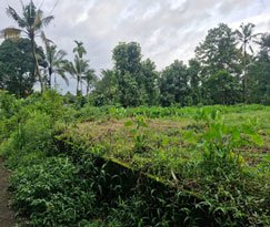 Residential Land for sale in Nedumbassery